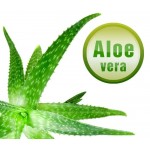 Poťah na matrac ALOE VERA
